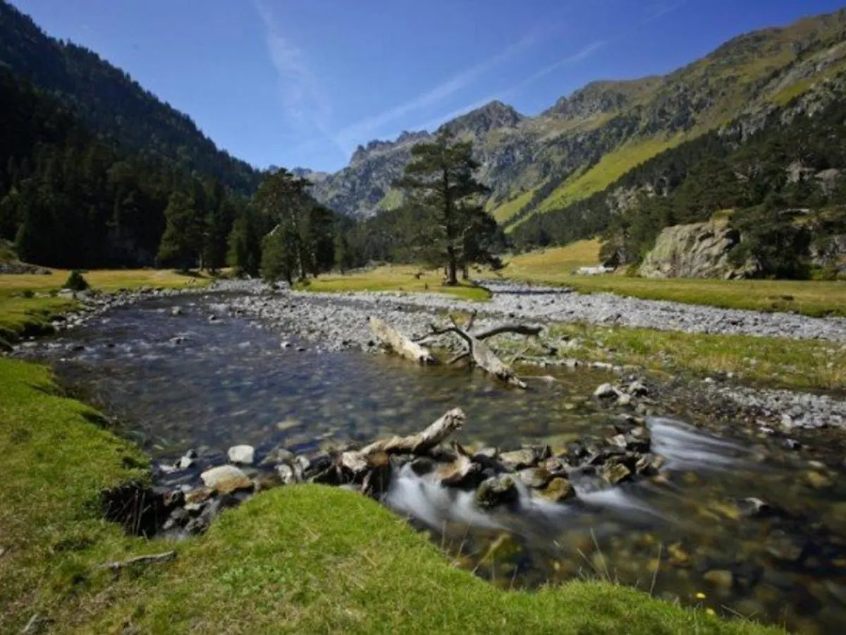 Studio Renove Pour 4 Pers A 50M Du Telecabine - Fr-1-234-293 Cauterets France